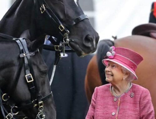Queen Elizabeth II 21 April 1926 – 8 September 2022 RIP